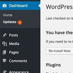Update core system. Maximise WordPress Security